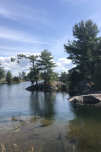 Black bear big game hunting packages — Key Harbour Lodge – Key Harbour Lodge