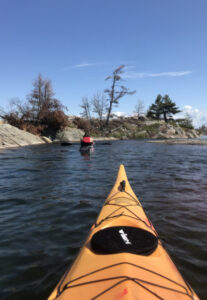 Black bear big game hunting packages — Key Harbour Lodge – Key Harbour Lodge